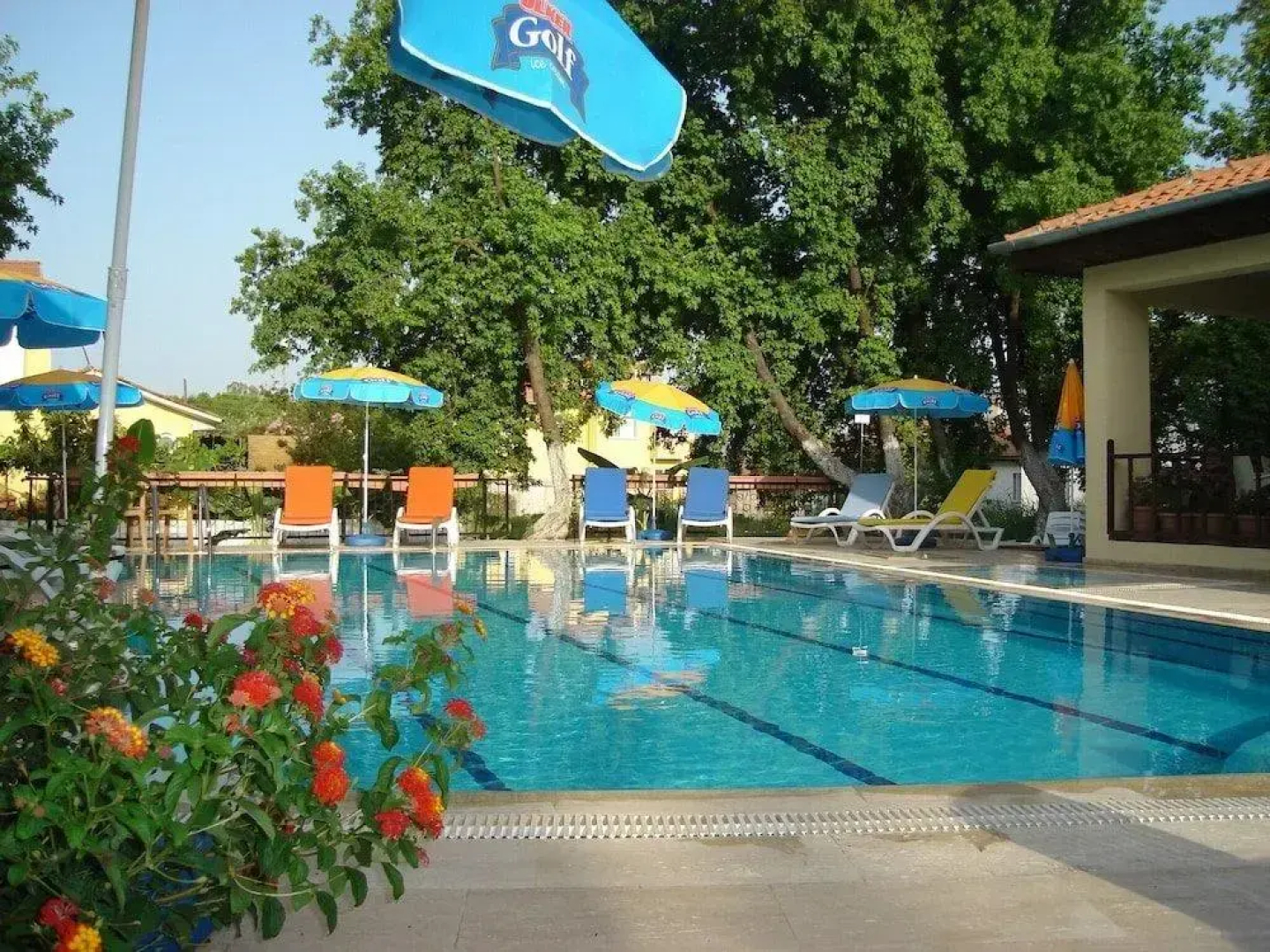 BEGONVİLLE