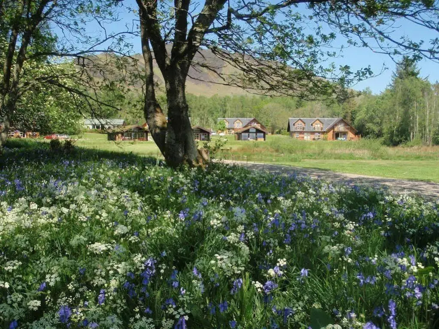 Loch Lomond Waterfront Luxury Lodges