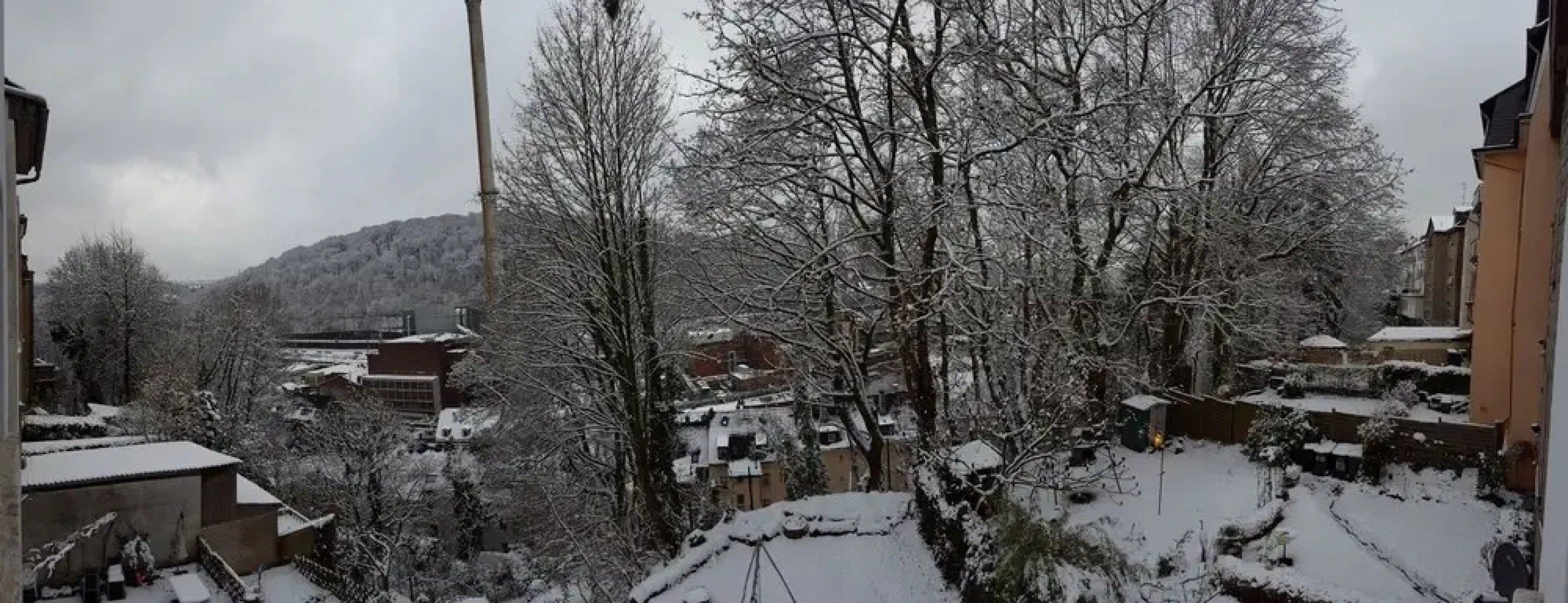 Apartment am Nützenberg