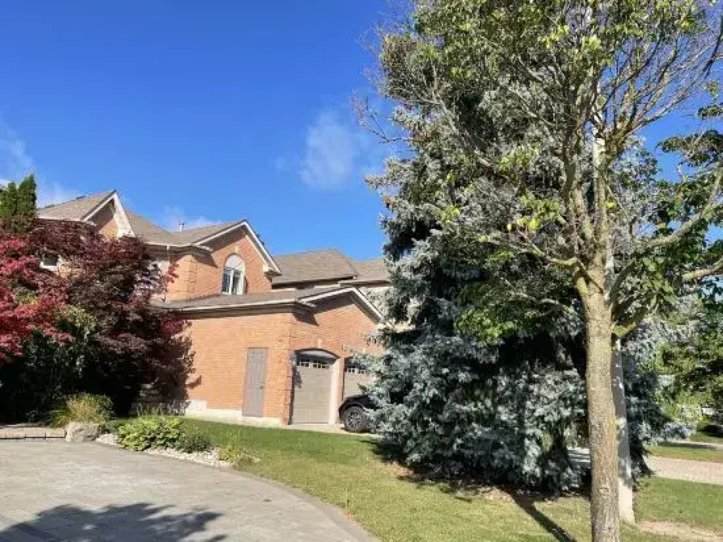 Private House Basement Suite Toronto/Richmond Hill