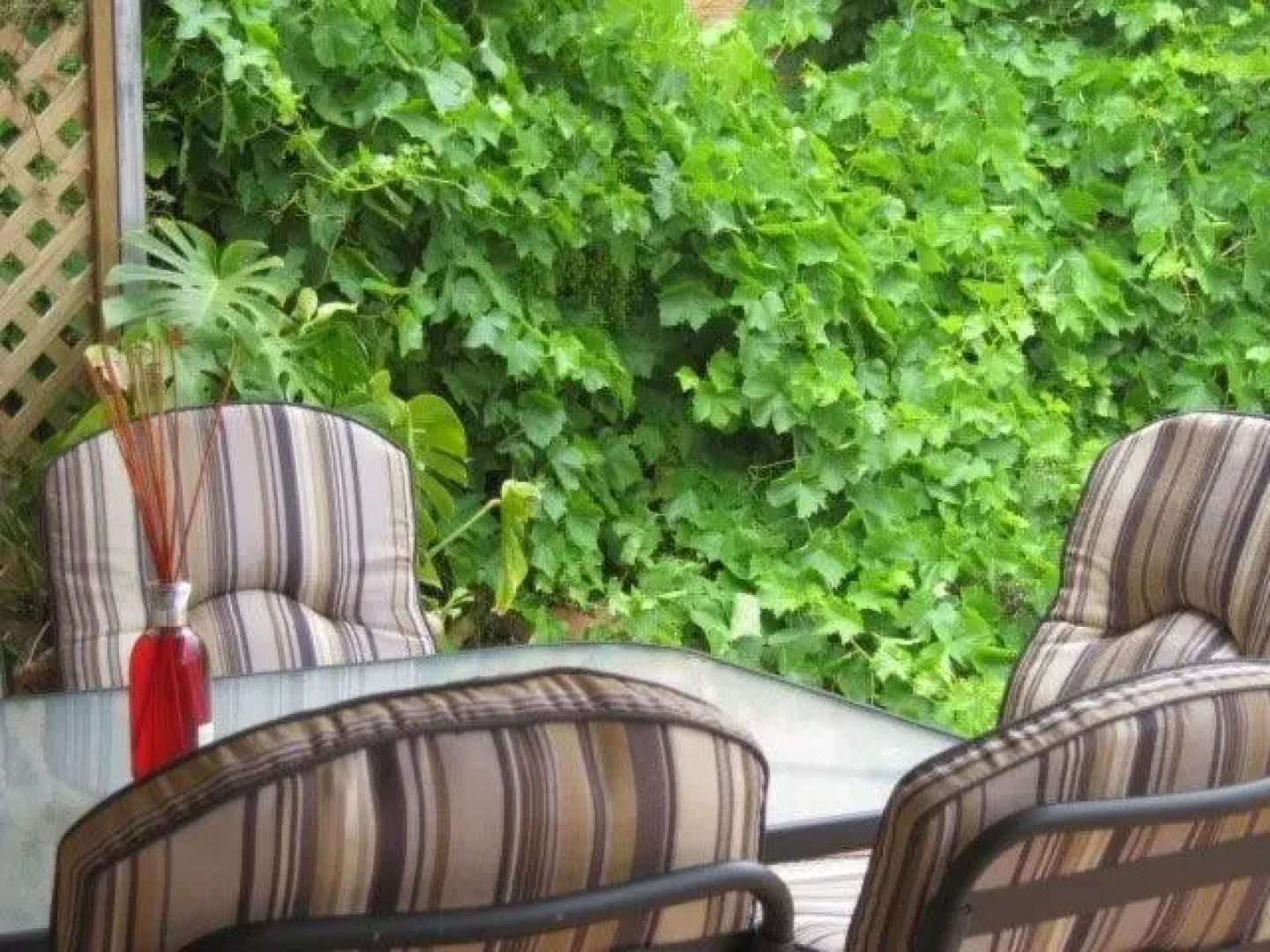 Amalie Cottage Waikerie Unit 1