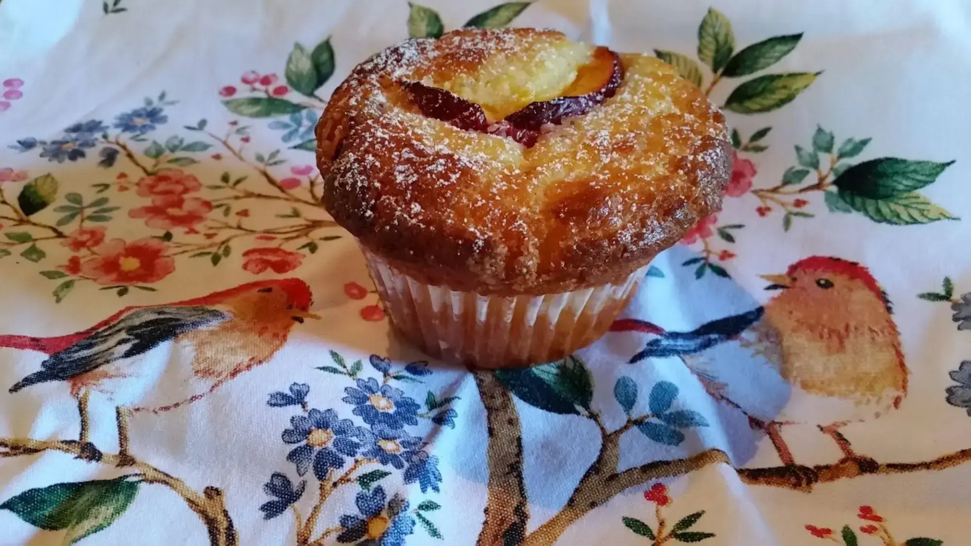 Bellbird Cottage B&B