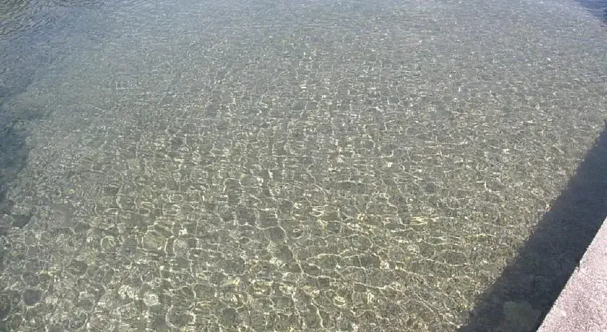 Adriatic Wave