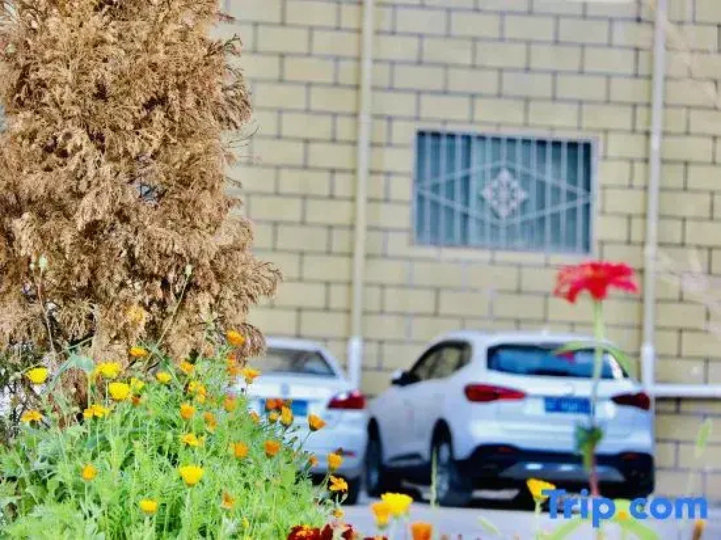 Garze Chin lives in a hotel