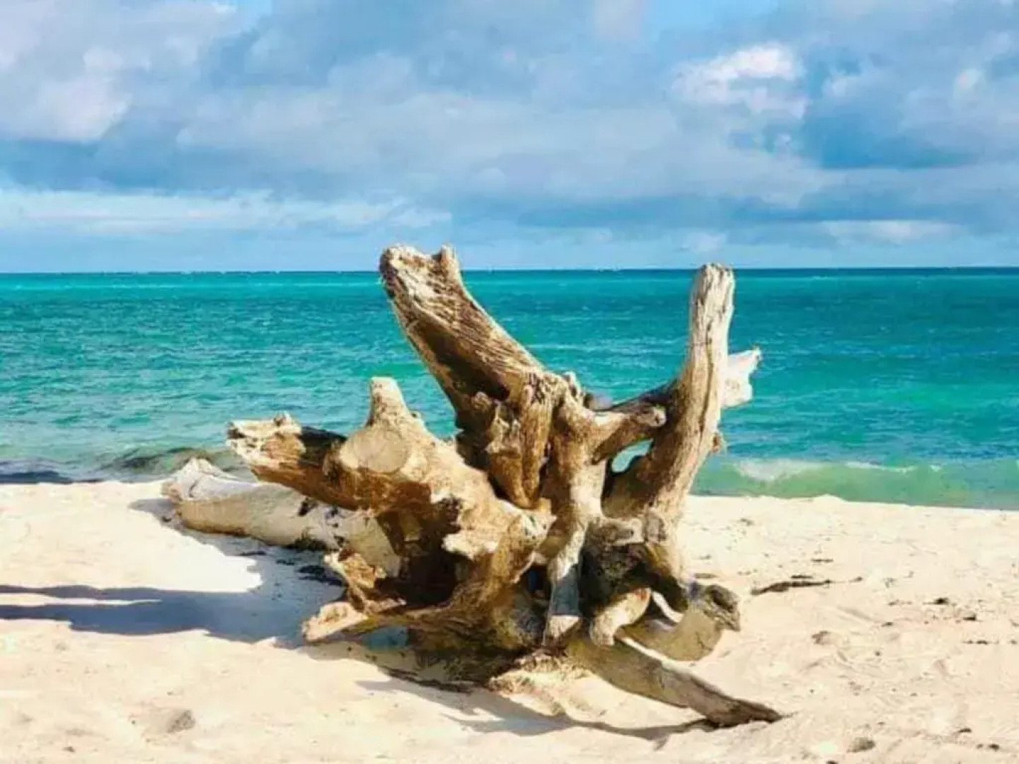 Marijani Holiday Resort