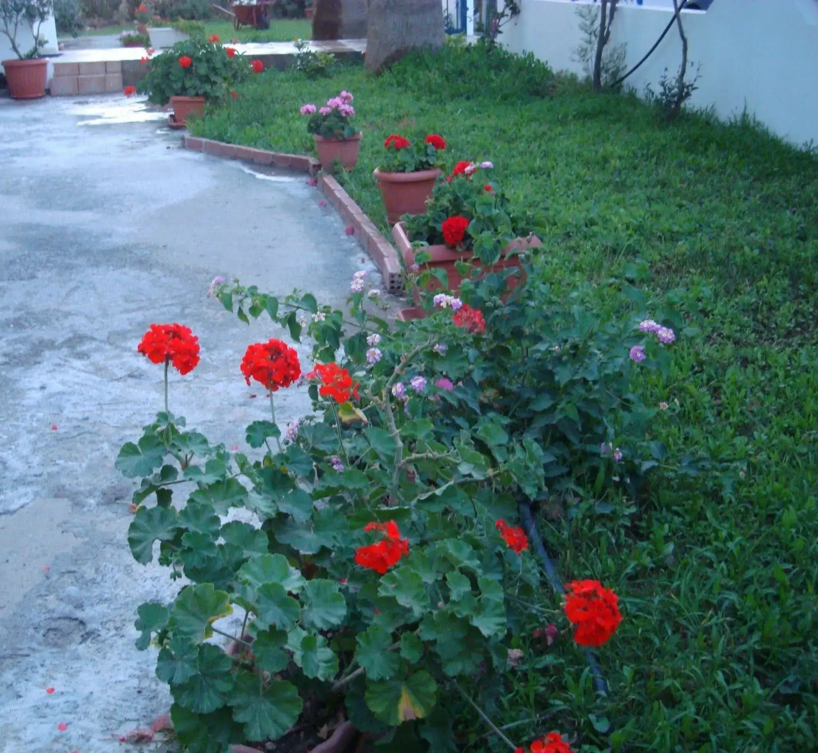 Philippos Studios & Apartments