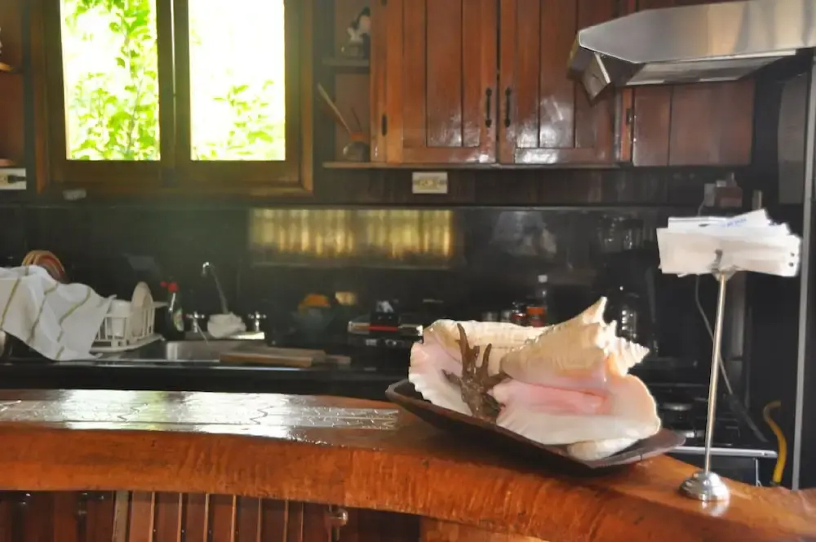 Posada Come So In The Bush