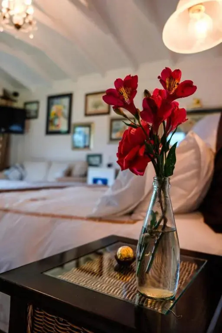 Art Gallery Guest House