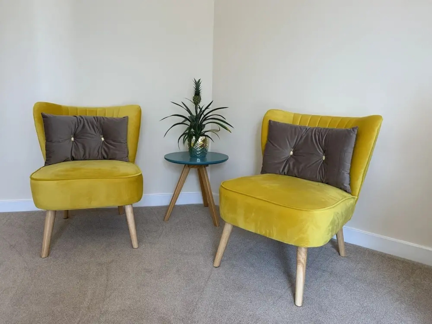 Tors Top Bed and Breakfast