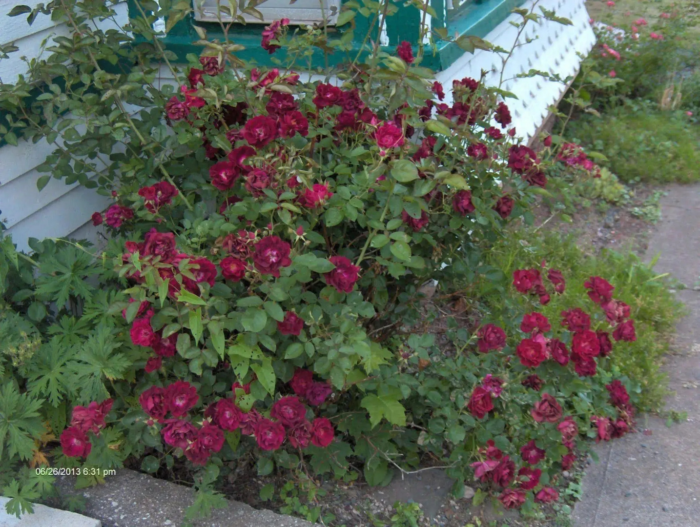 Antique Rose Inn Windham