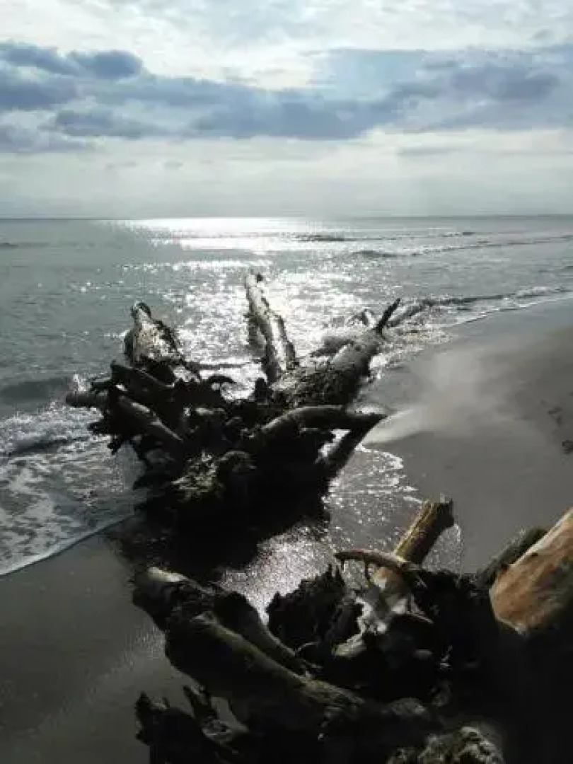 Fattoria il Duchesco