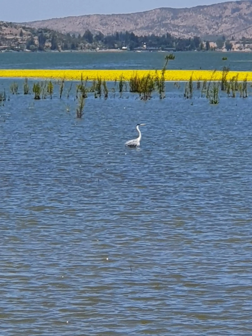Parcela de 3 hectáreas con orilla de Lago