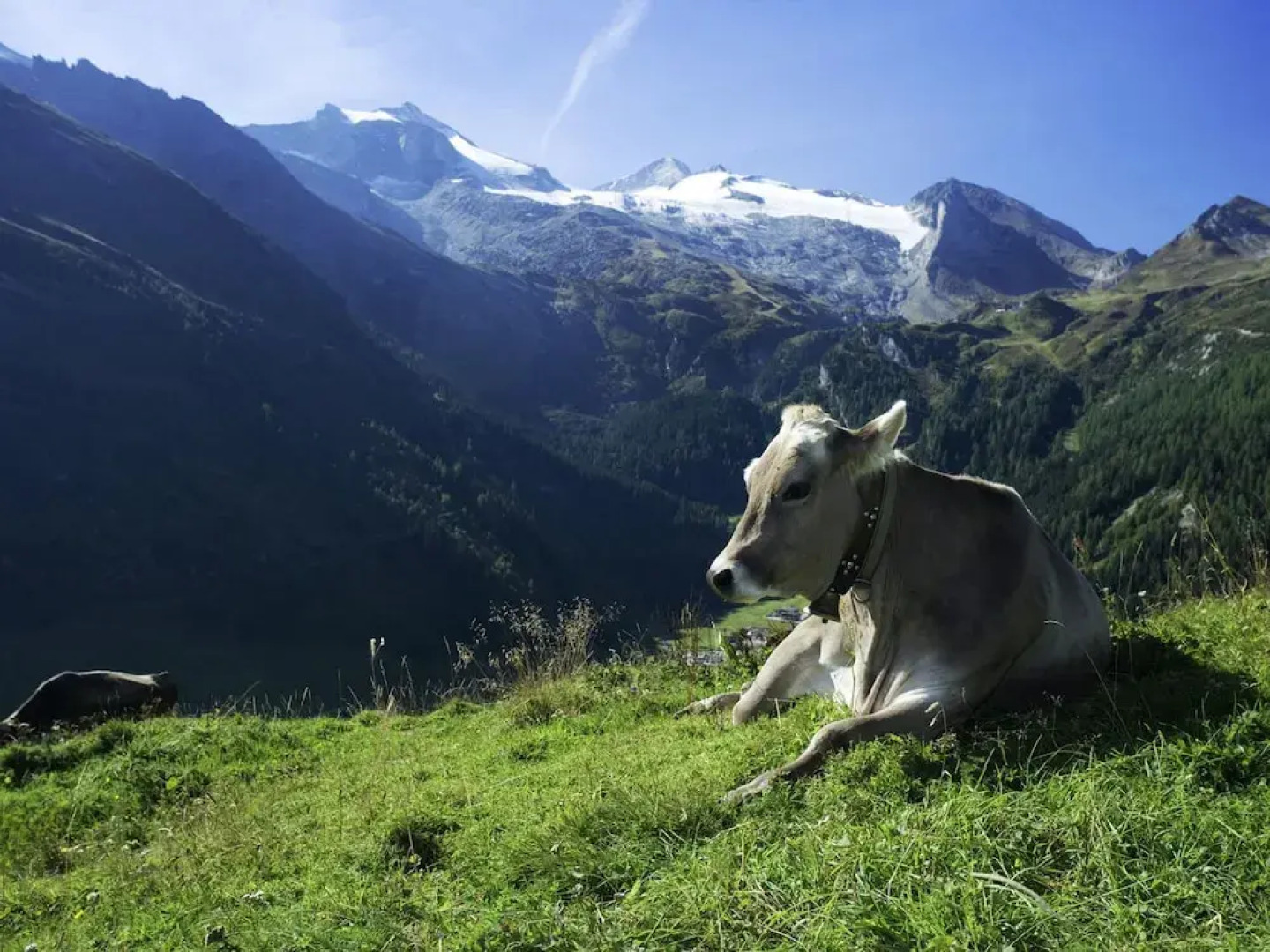 Exclusive Apartment in Hart im Zillertal With Mountain View