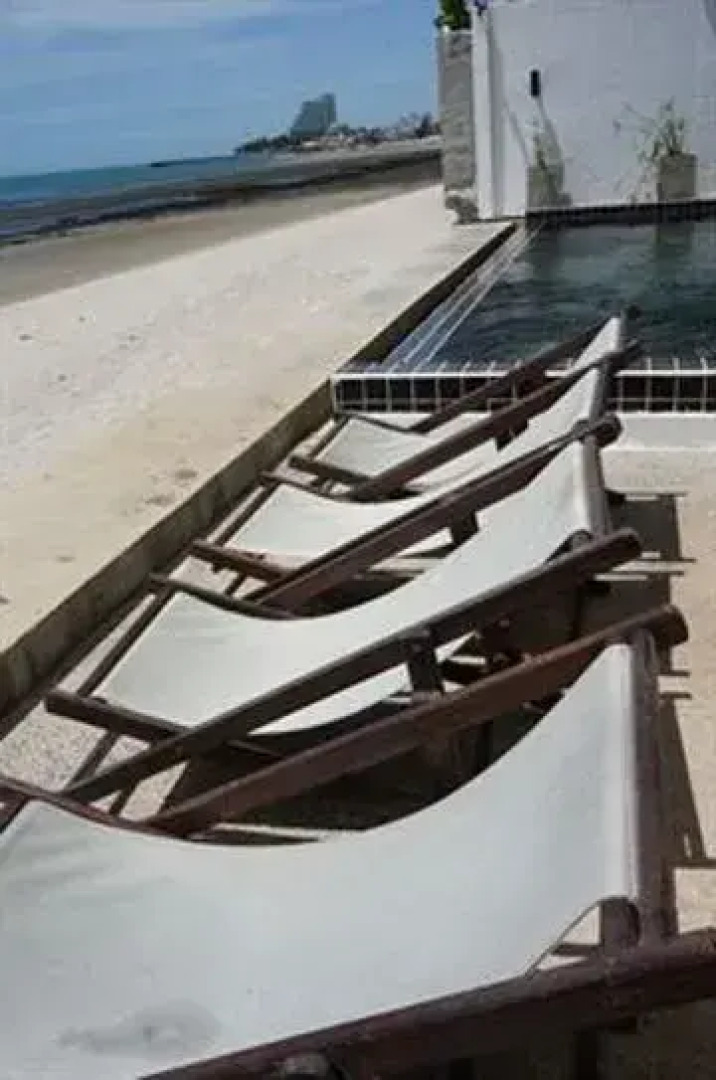 The Herbs By The Sea