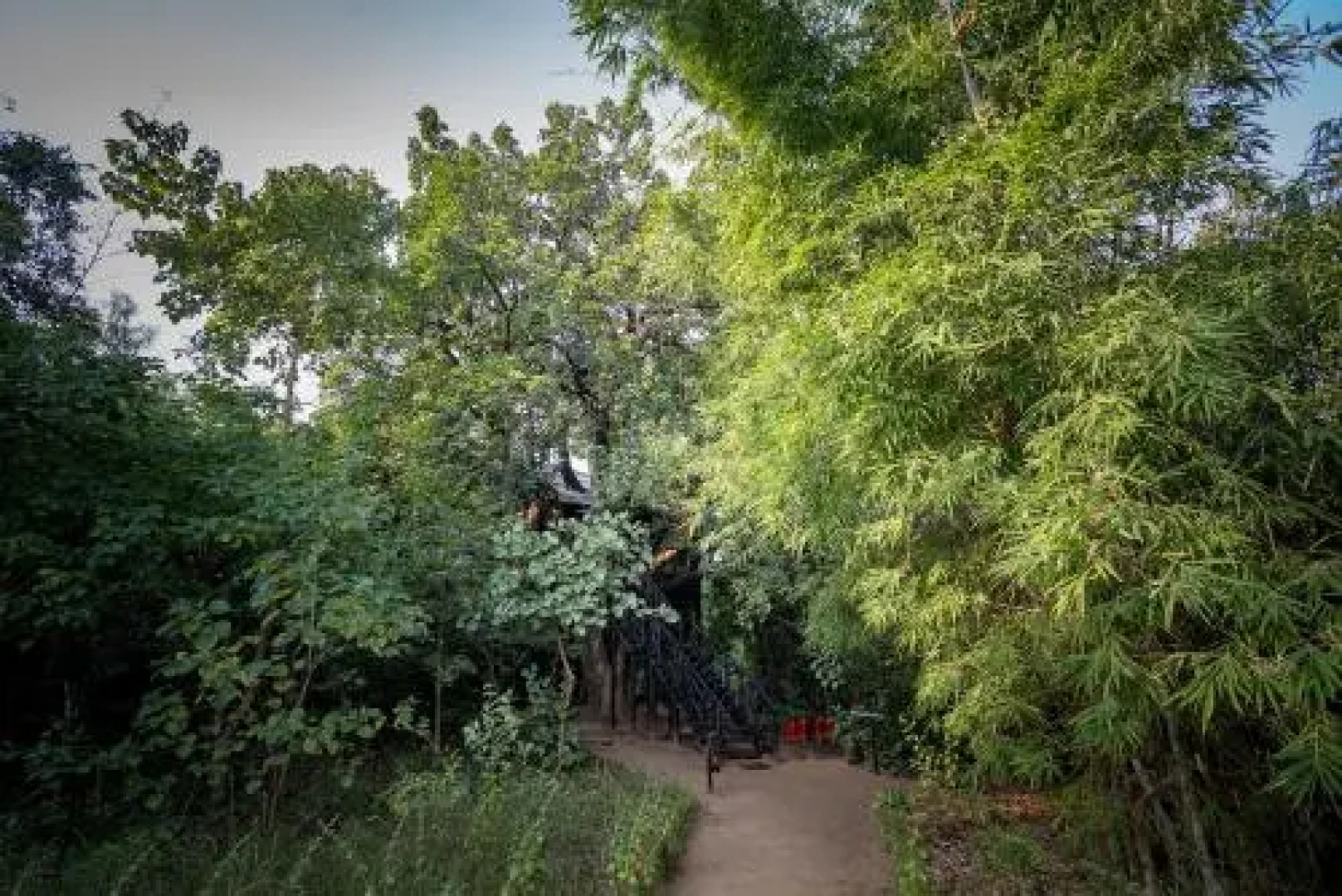 Tree House Hideway Bandhavgarh