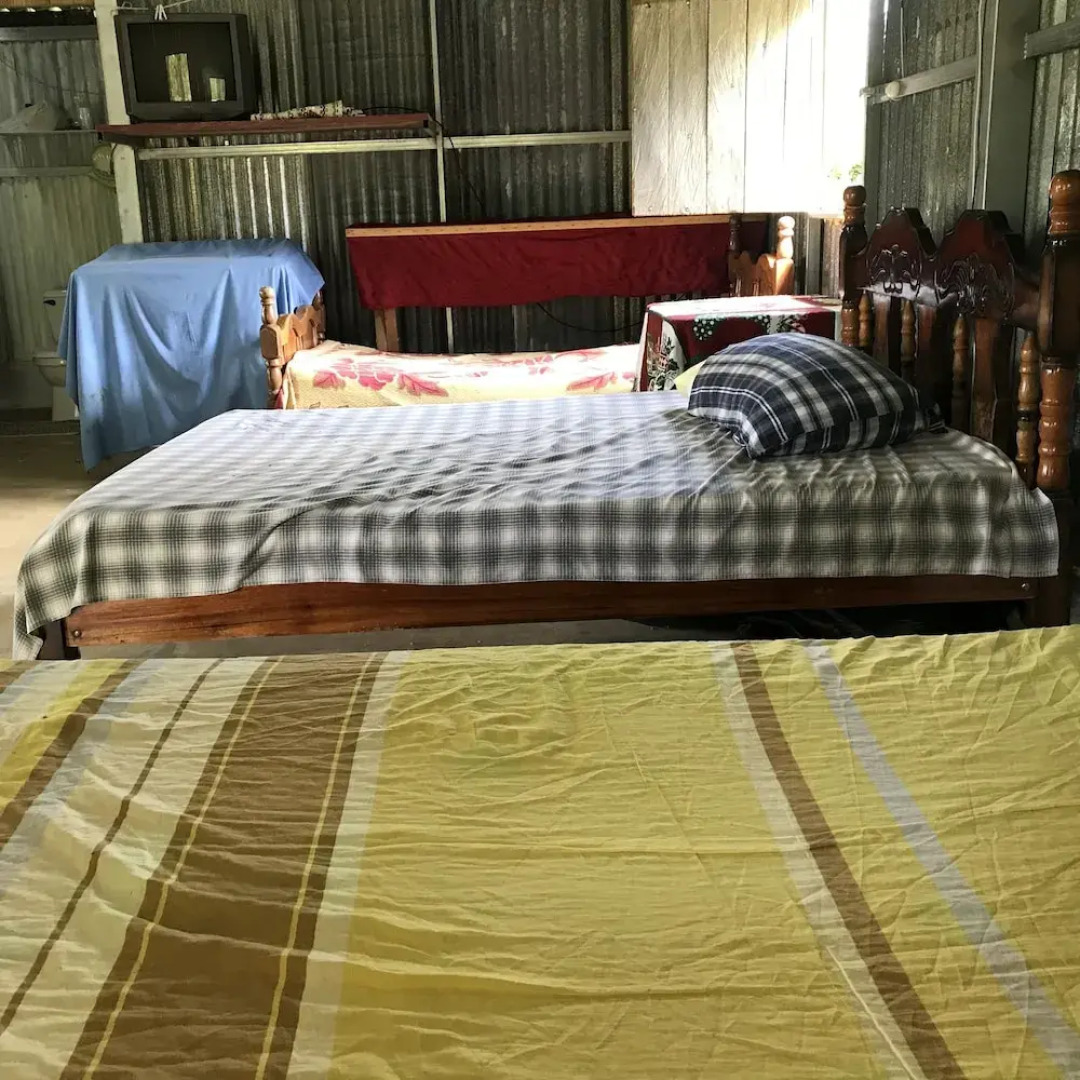 Blue Morpho - Hostel