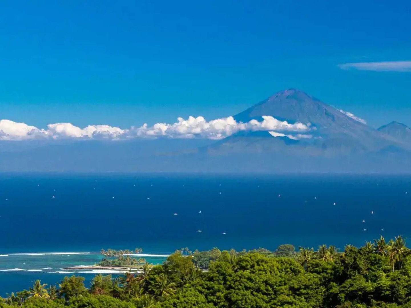 The Ocean View Villa