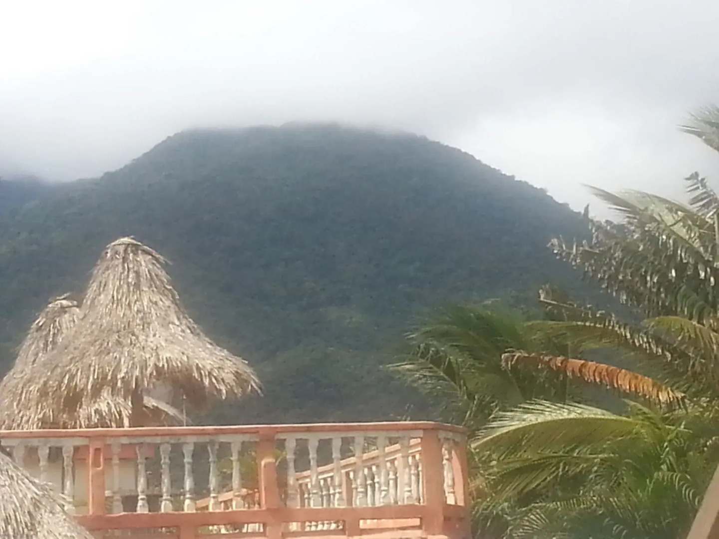 La Delphina B&B Bar and Grill Hotel