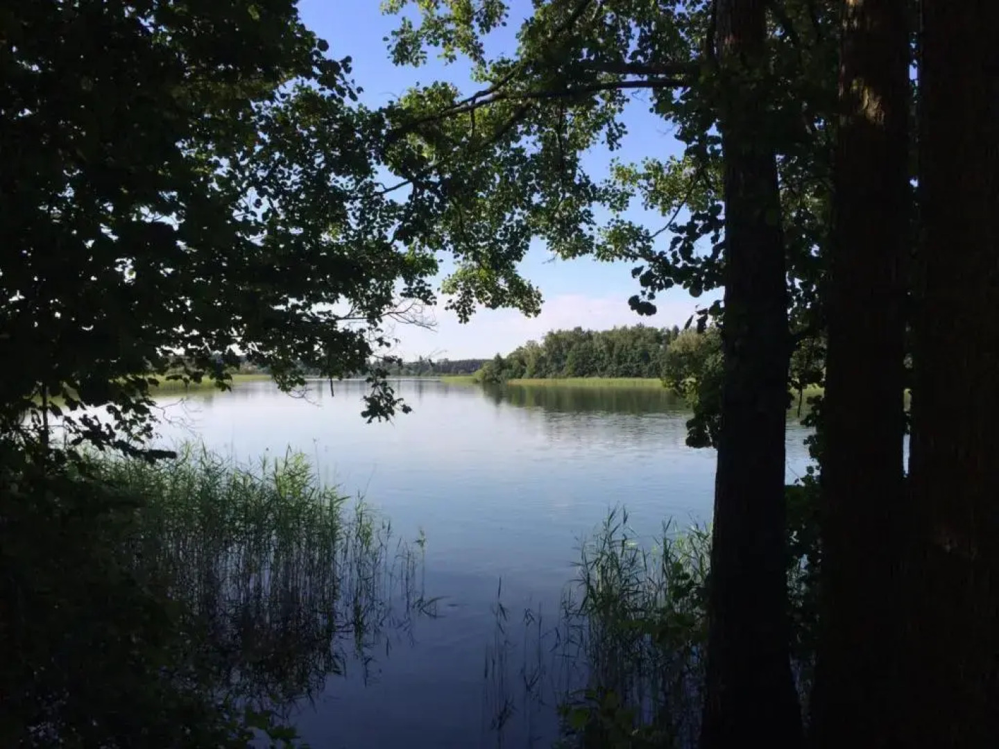 Hotel am Müritz-Nationalpark