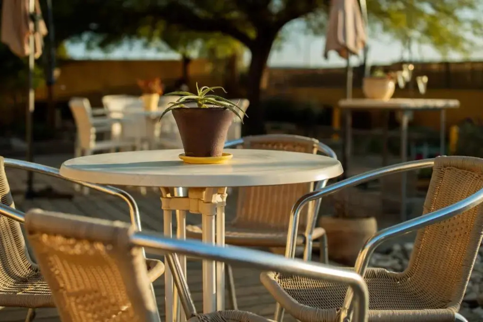 ibex unique Desert Inn