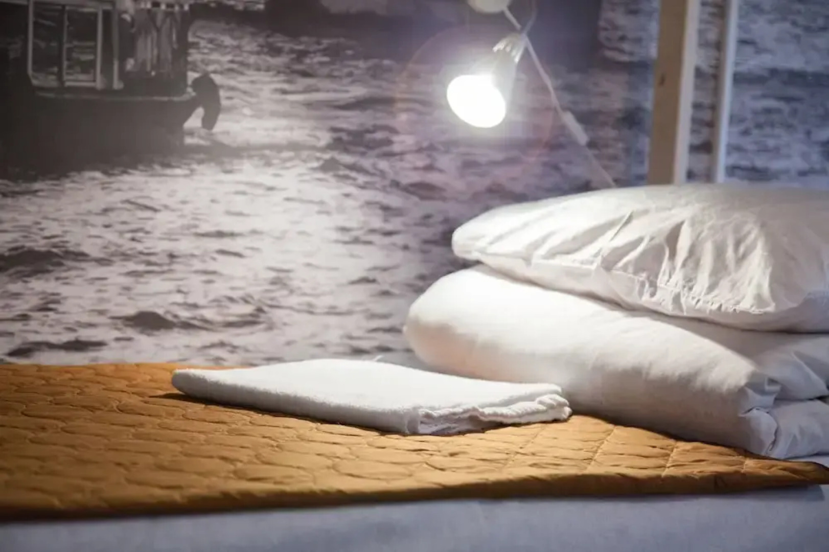 Лебедушка на Достоевского