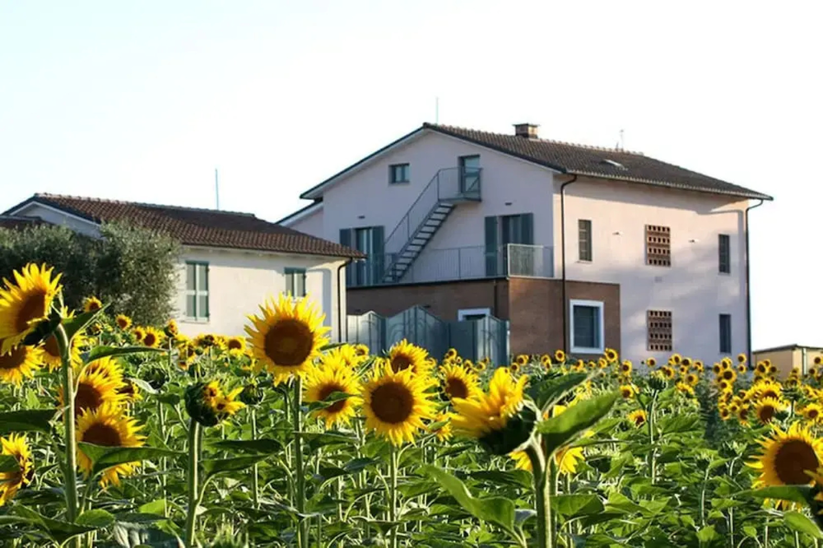 Apartment With one Bedroom in Montecastrilli, With Pool Access, Enclos