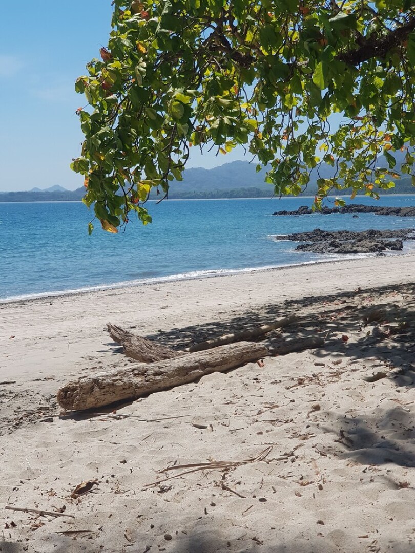 Welcome to House Beach and River