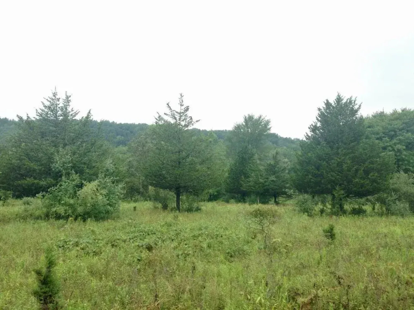 Tentrr - Clove Mountain Meadow