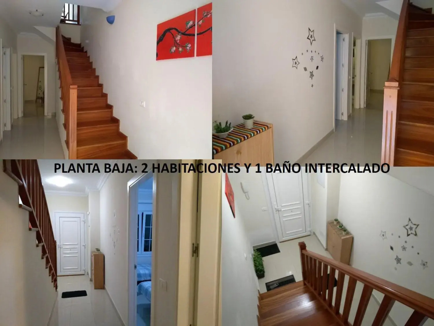 Playa Y Montaña: Naturaleza Y Armonía