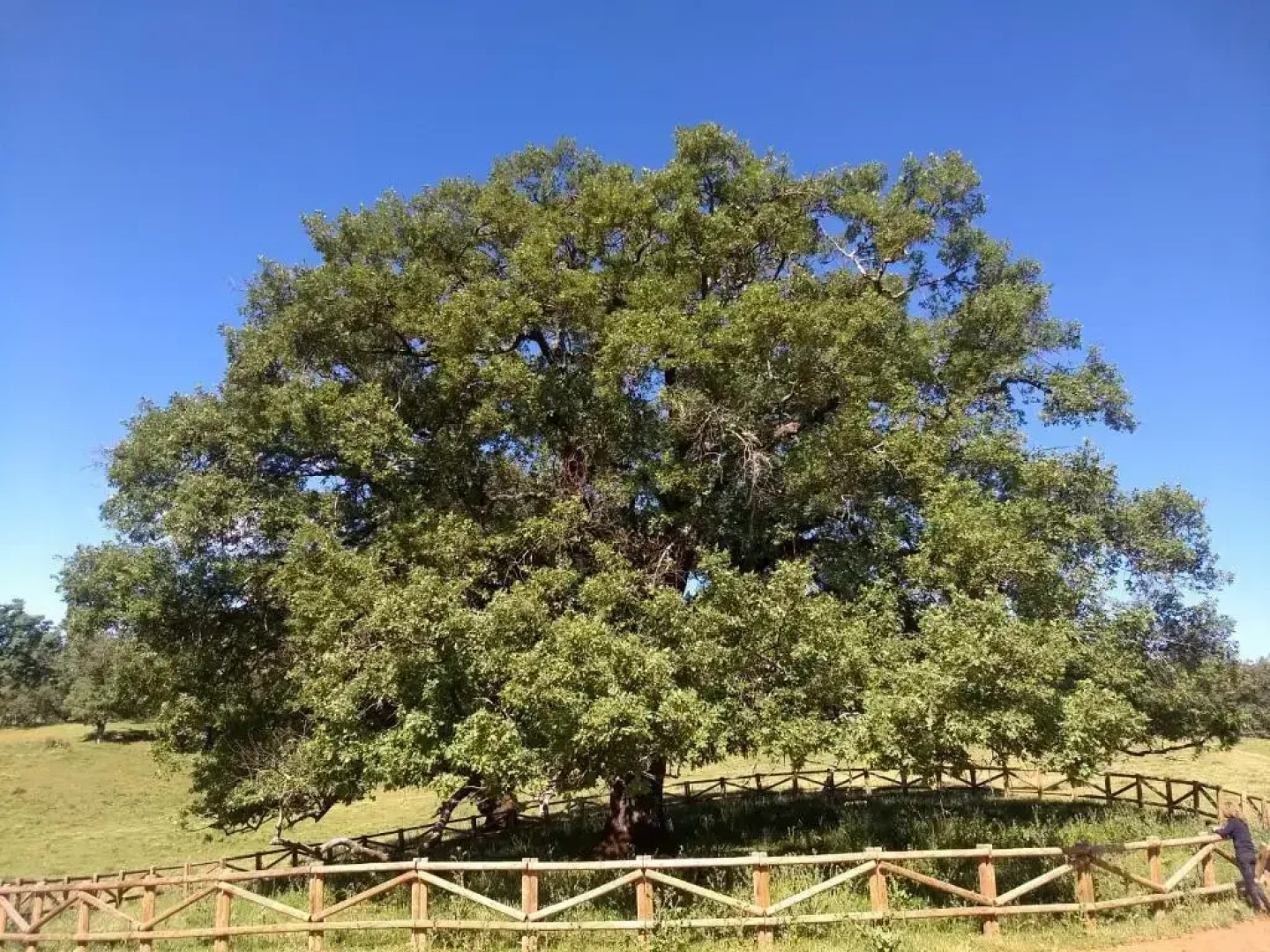 Hotel Villa de Berzocana