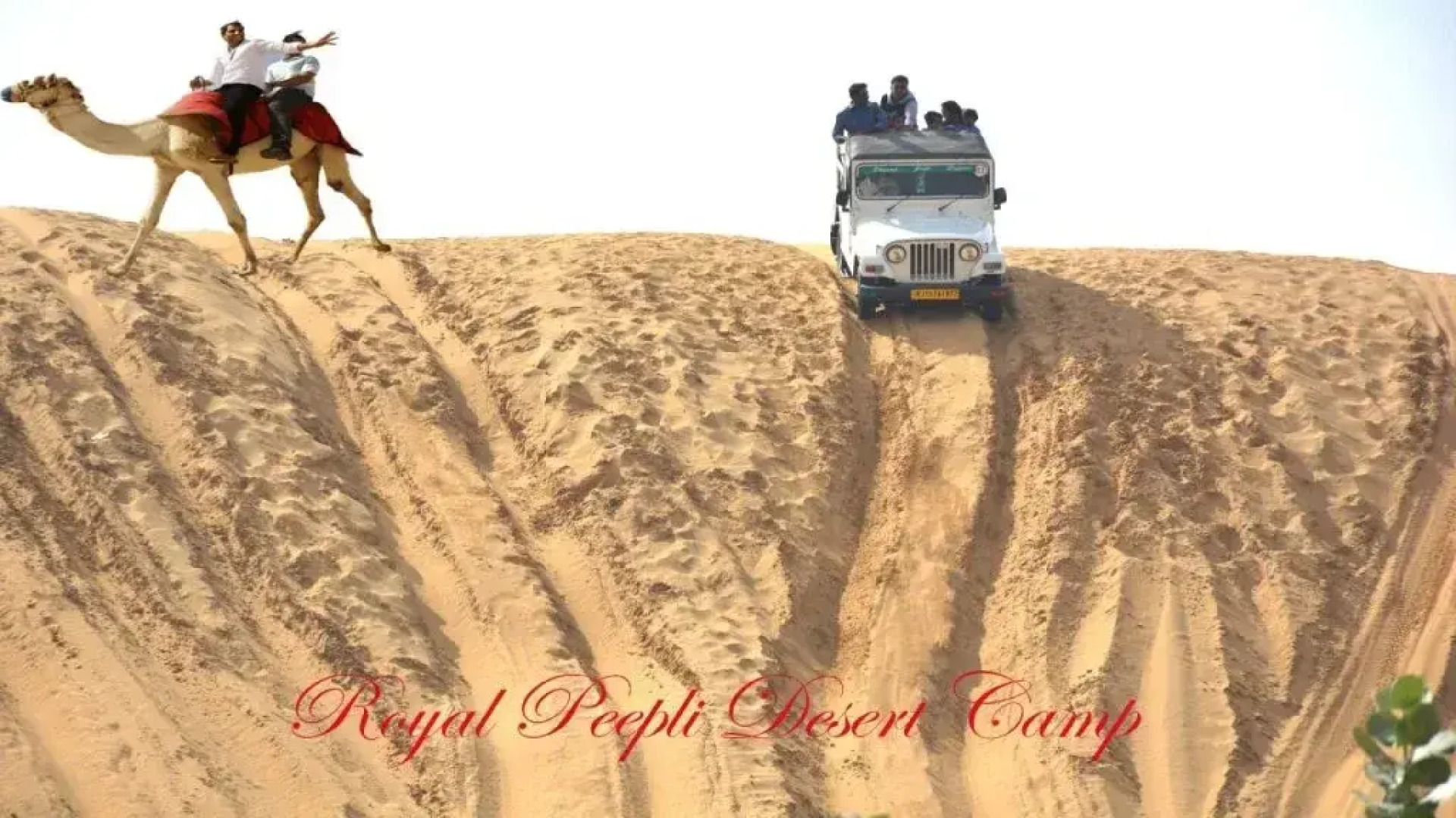 Royal Desert Safari Resort and Camp