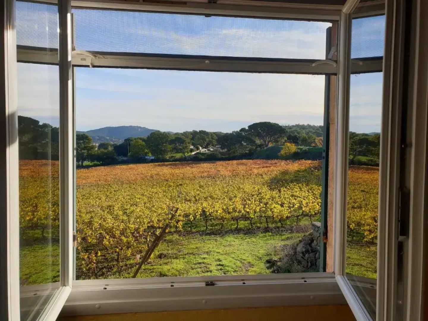 Domaine de la Navicelle - Oiseaux 1