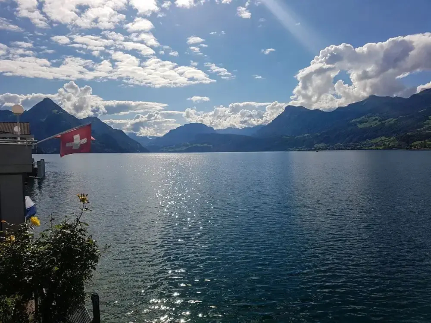 Seestern am See mit Motorboot Ennetb Rgen