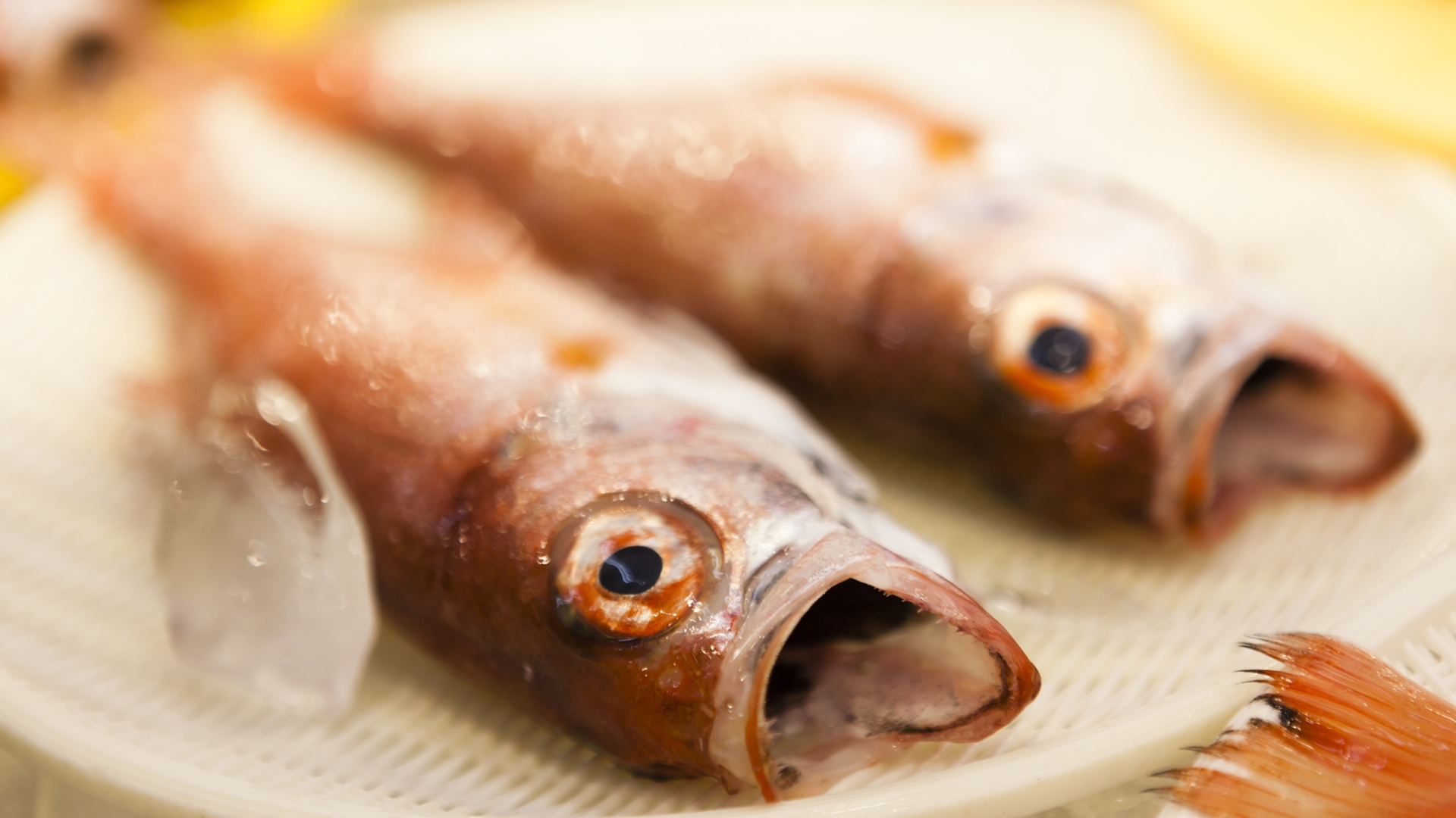 Teradomarimisaki Onsen Hotel Asuka