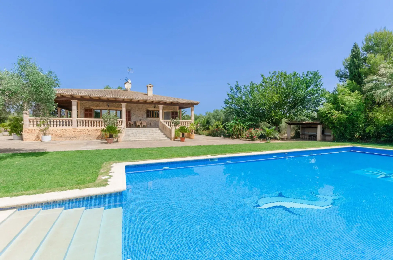 Can Berguins in Buger