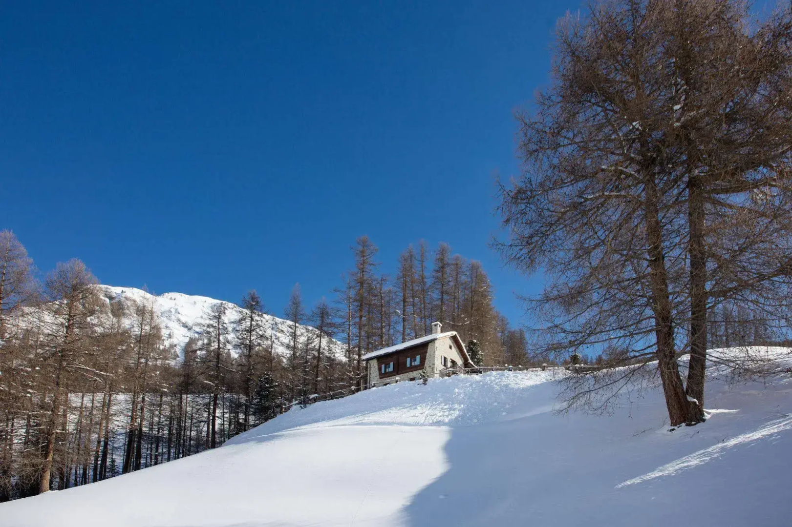 Chalet Charm