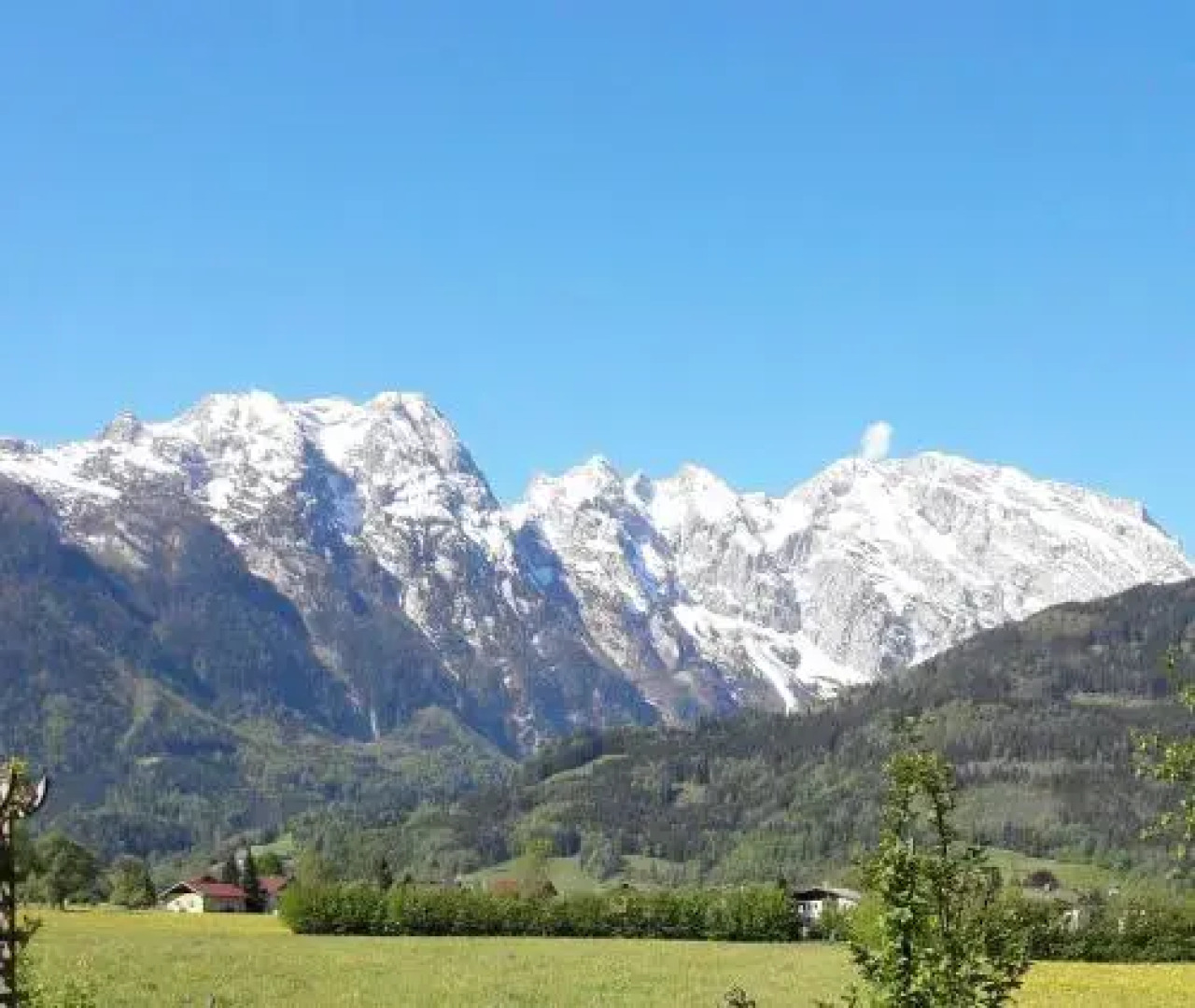 Ferienwohnung Alpenblick