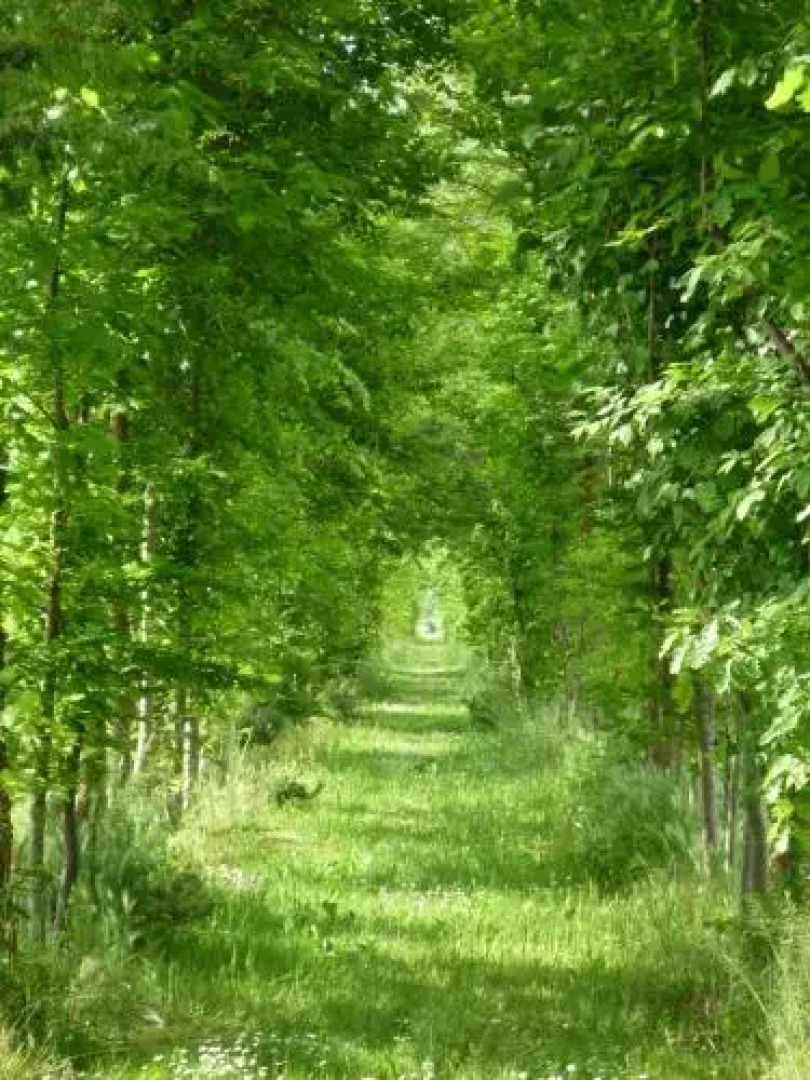 Agriturismo Ca Marcello