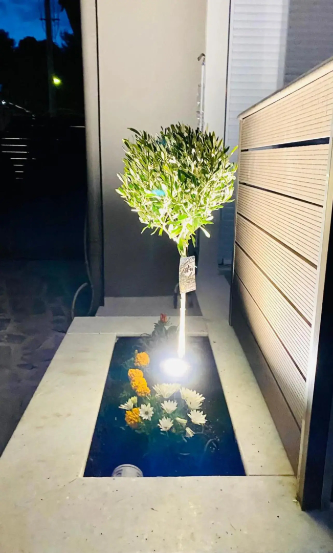 Phoenix Garden Apartment I