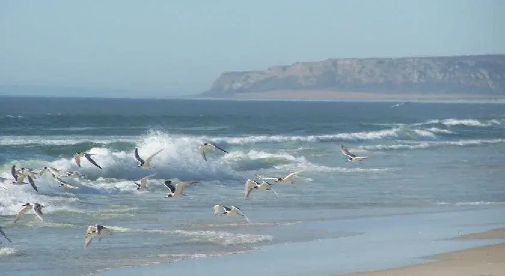 Draaihoek Lodge & Restaurant
