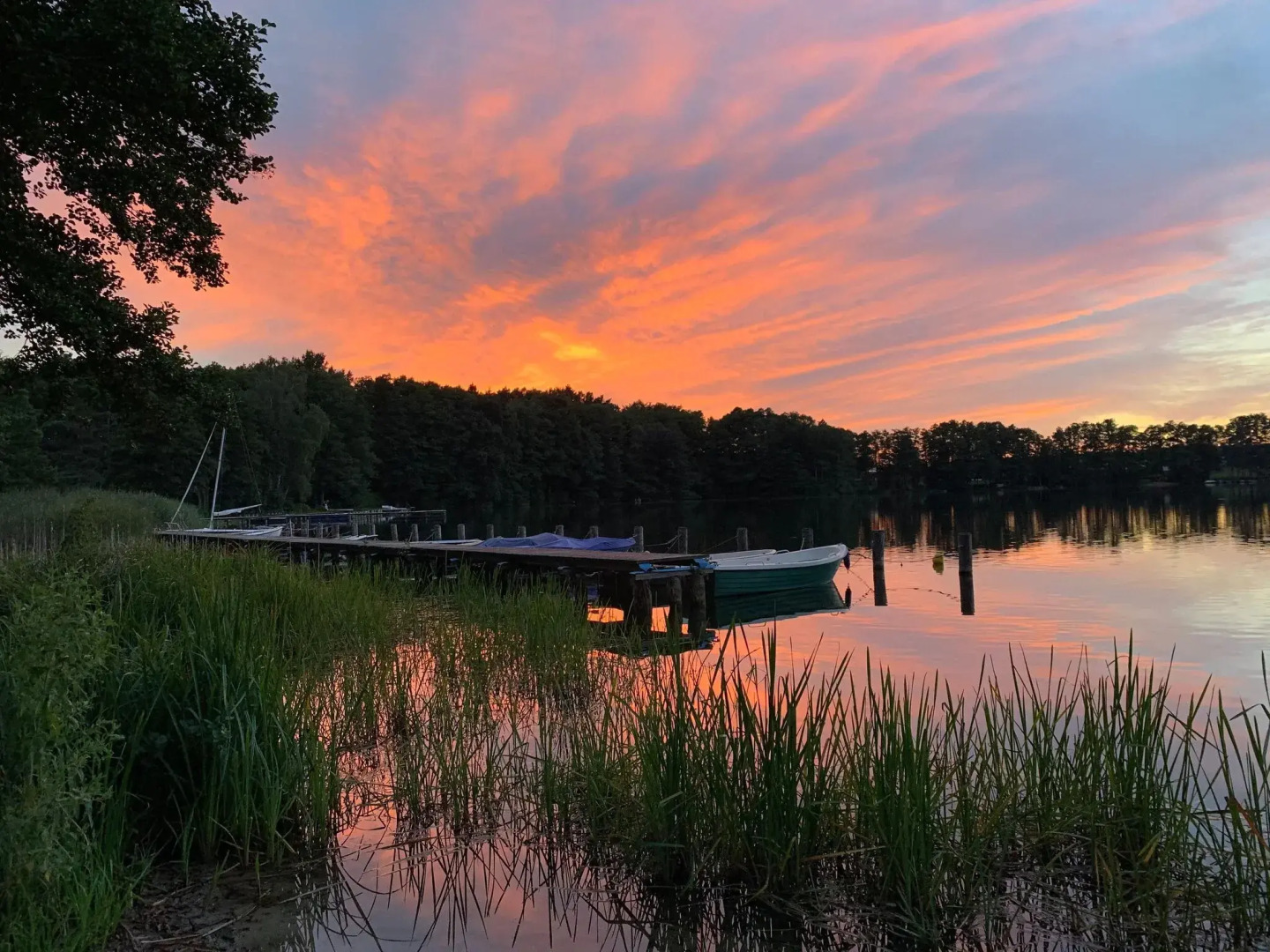 Holiday home Seerose am Dümmer See, Dümmer
