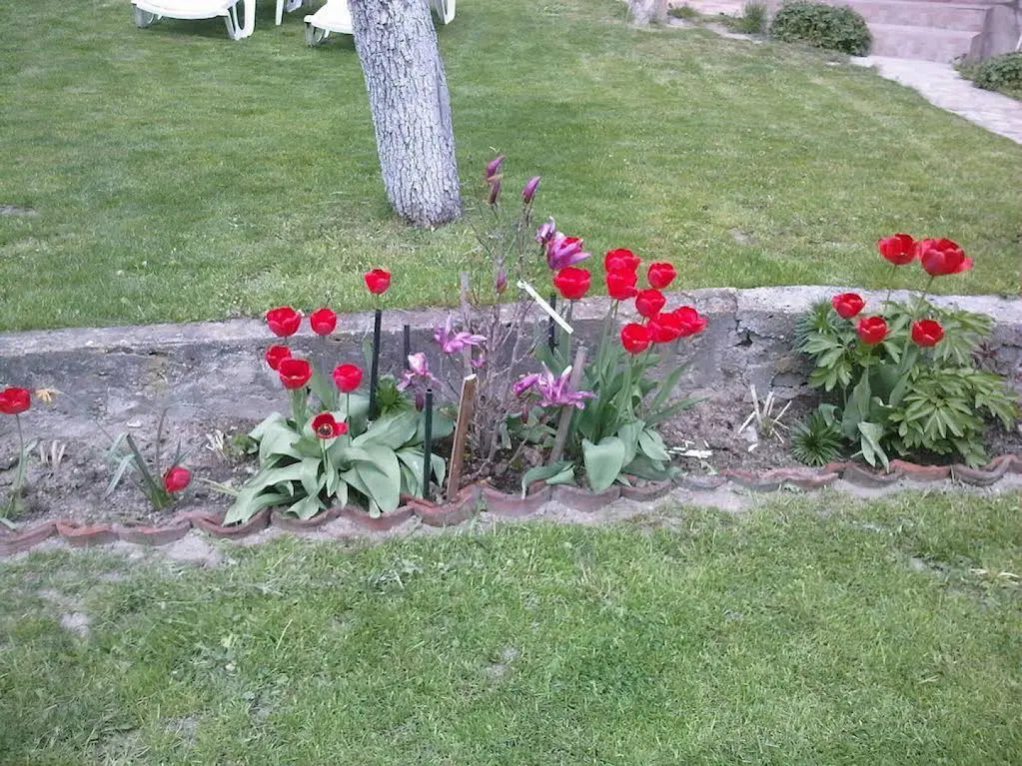 Borimechkovata Kashta