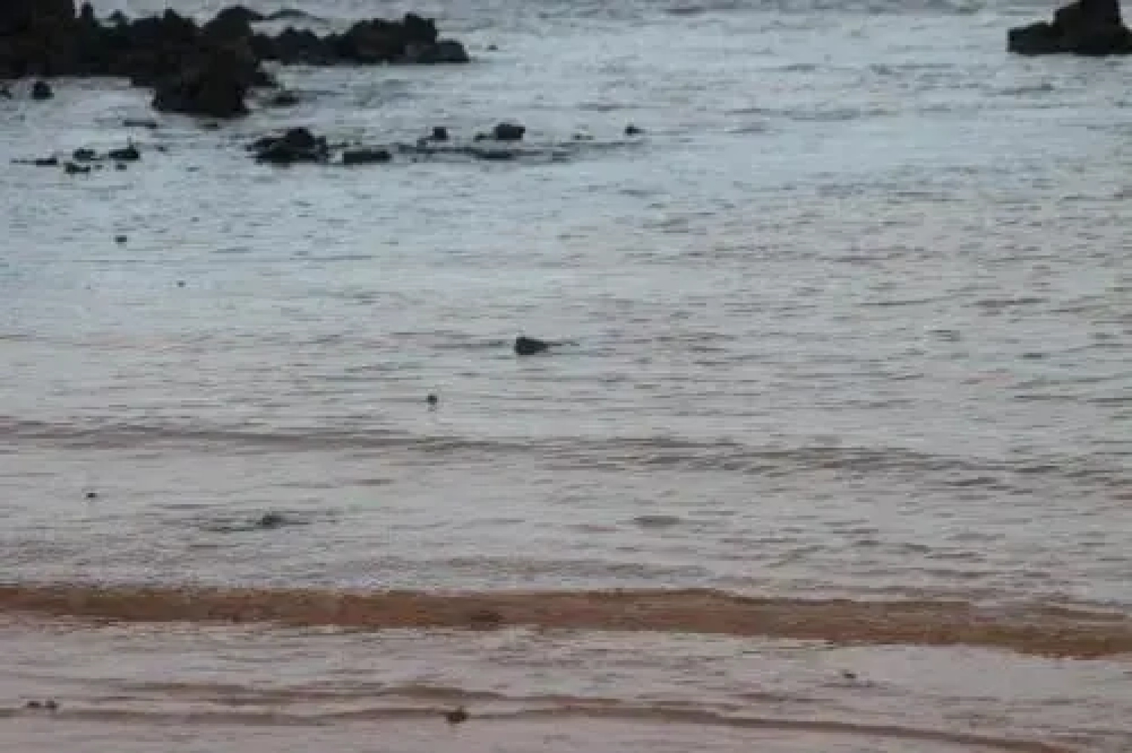 pousada mar de corais