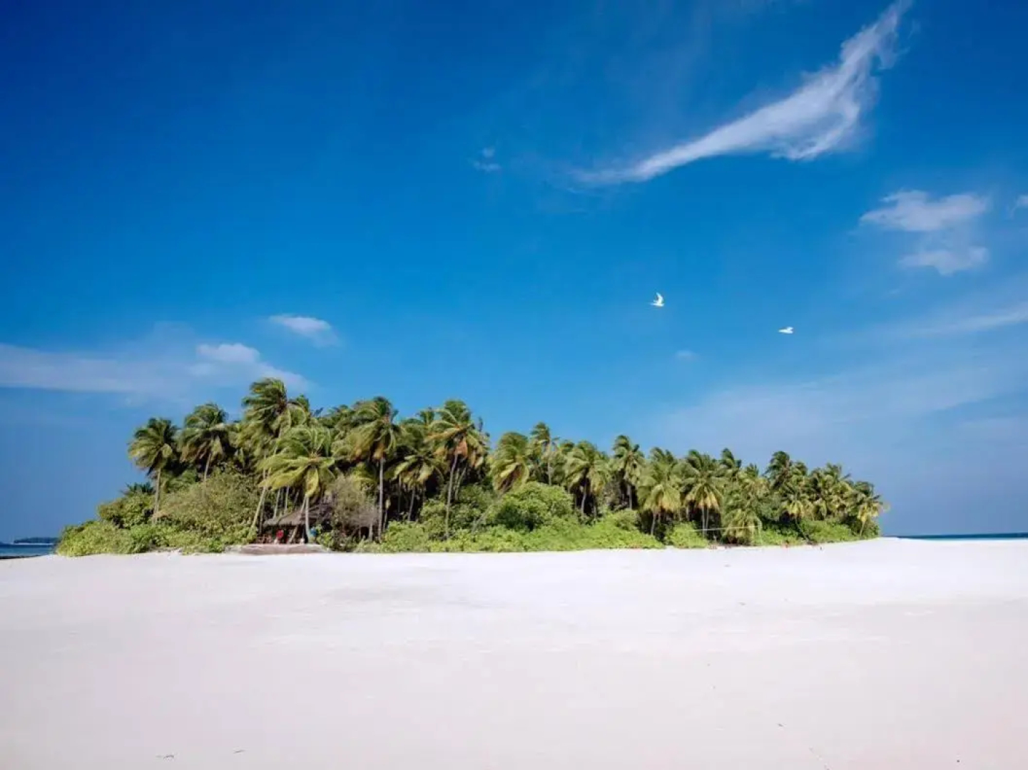 Yash Nature Resort