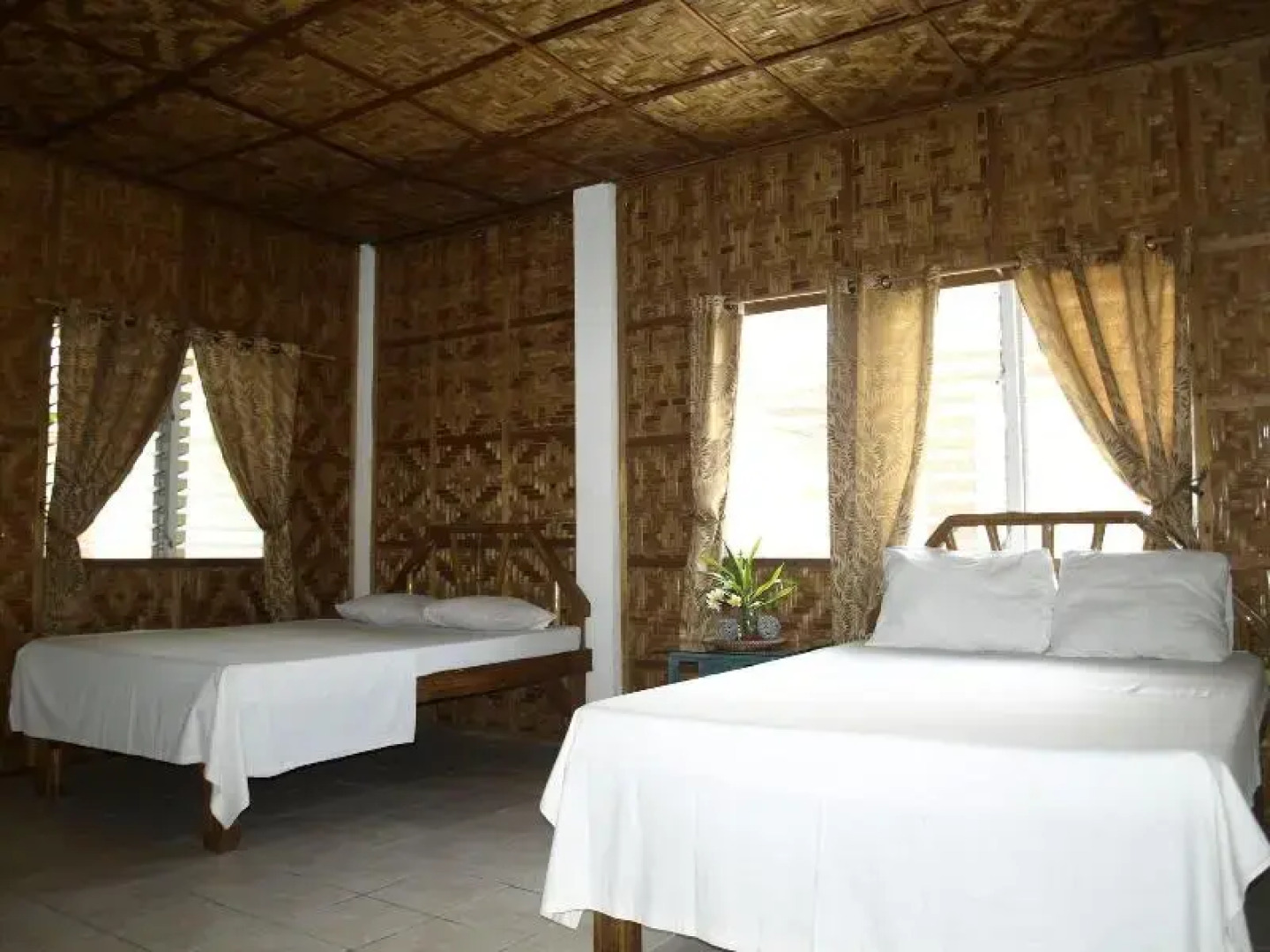 The Sharks Tail Dive Center