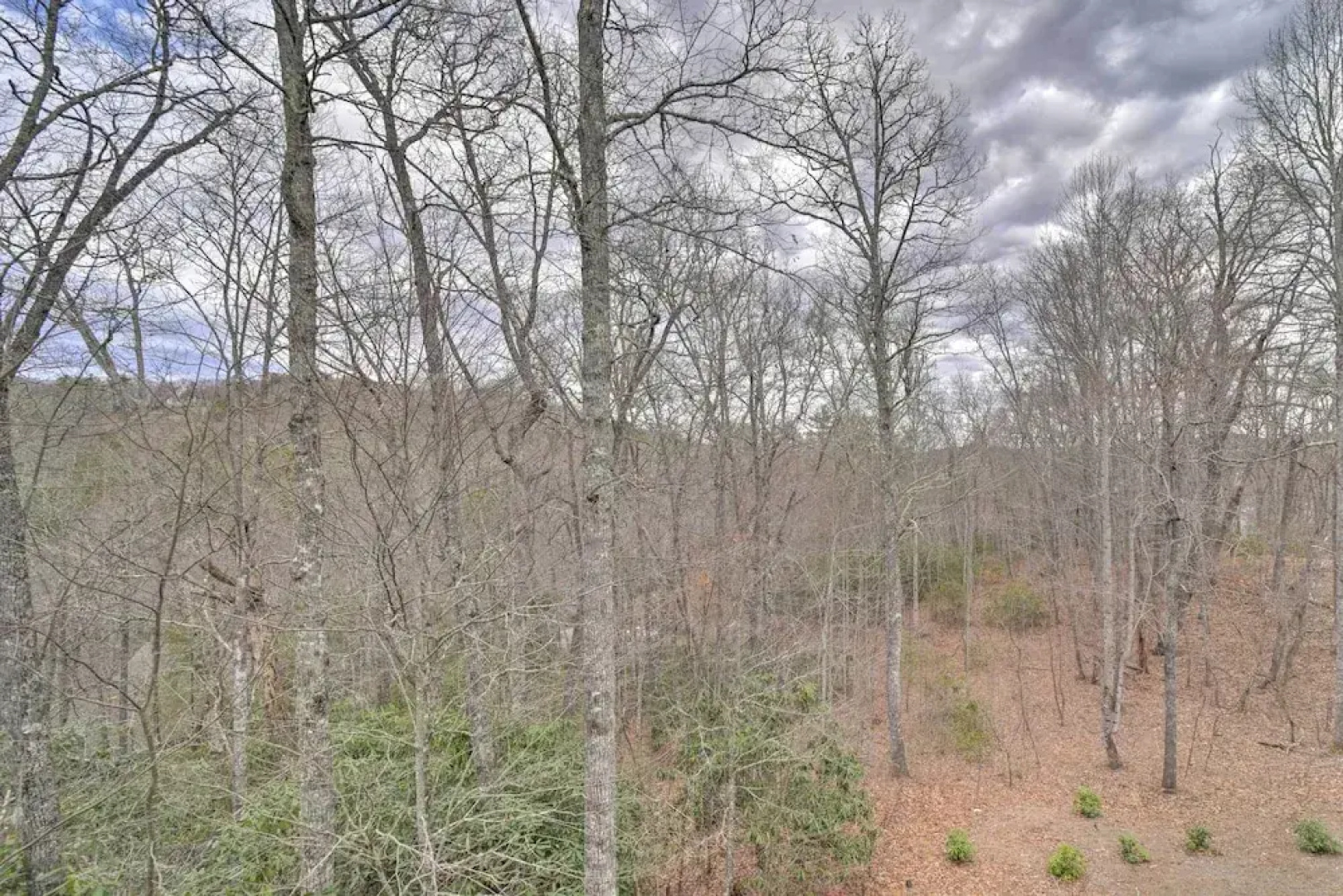 Woodsy Smoky Mtn Hideaway w/ Grill & Views!