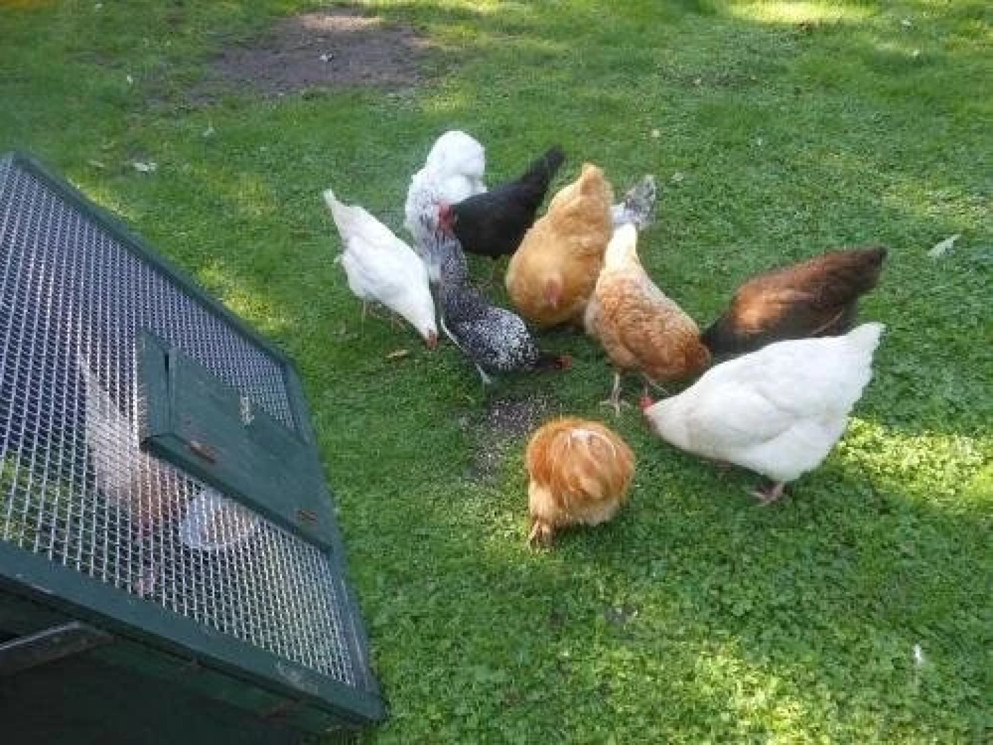 Theetuin Gebroeders van Lint