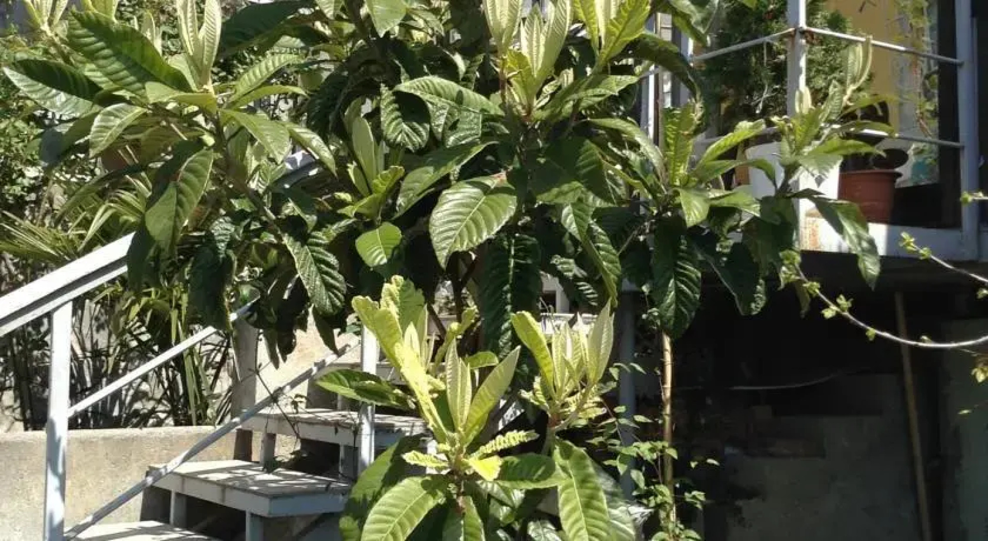 Guest House Katsiveli