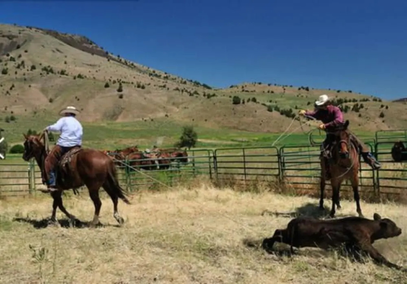 Wilson Ranches Retreat