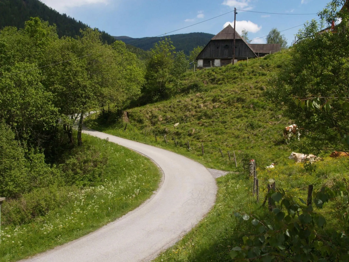 Chalet in Stadl an der Mur / Styria With Sauna